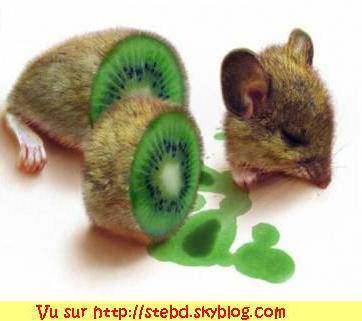 rien à dire